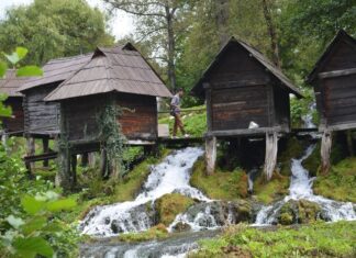 The Ottoman Royal Family