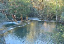 The Heavy Responsibility of Protection