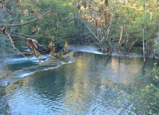 The Heavy Responsibility of Protection