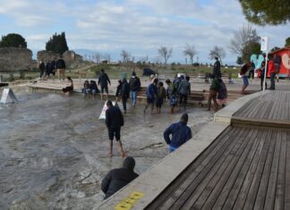 Introduction to Health Education Services